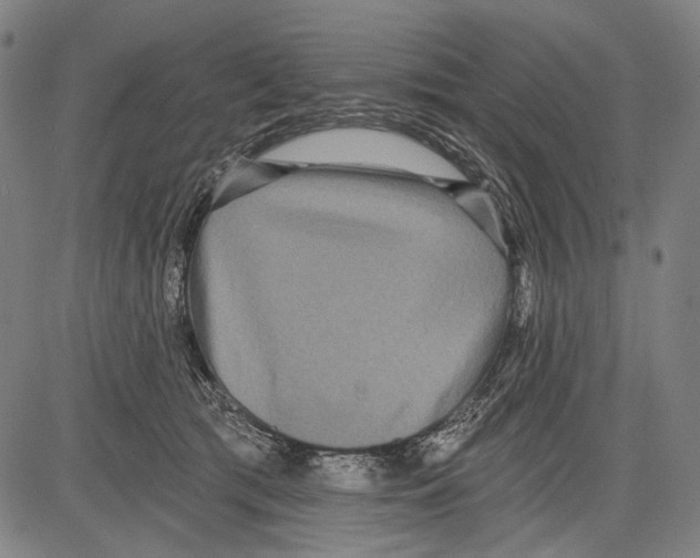 X0000081600417200702121554