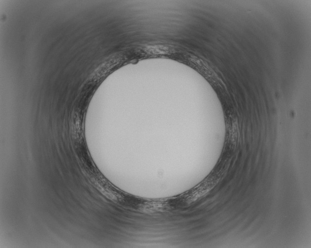 X0000081600418200702121554