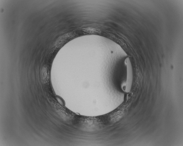 X0000081600420200702121554