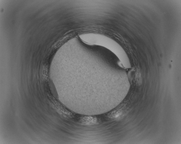 X0000081600421200702121554