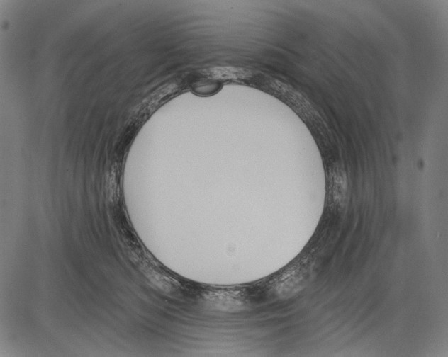 X0000081600422200702121554