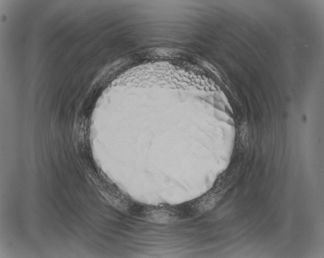 X0000081600423200702121554