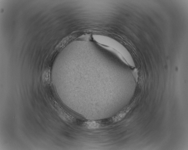 X0000081600425200702121554