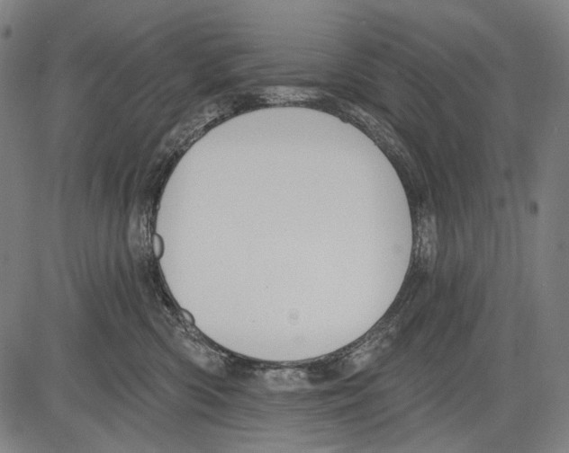 X0000081600426200702121554