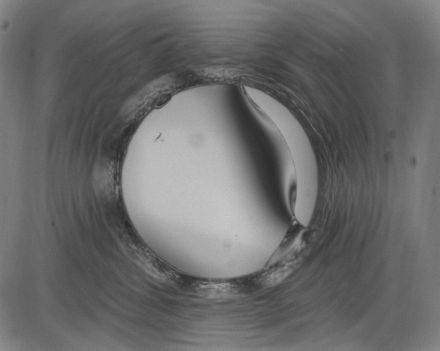 X0000081600428200702121554