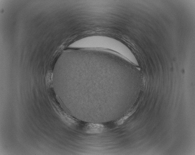 X0000081600429200702121554