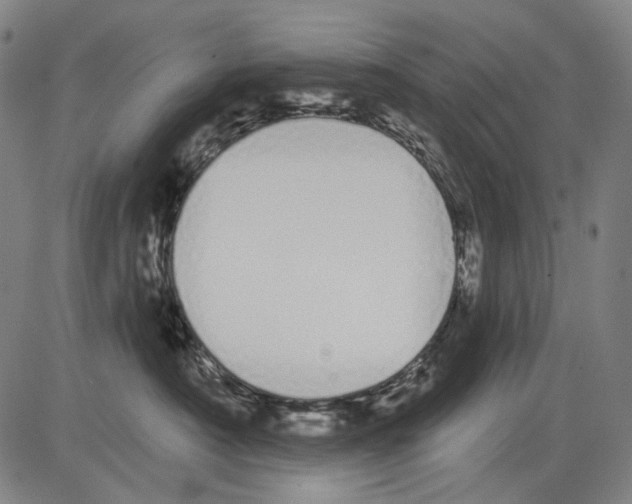 X0000081600430200702121554