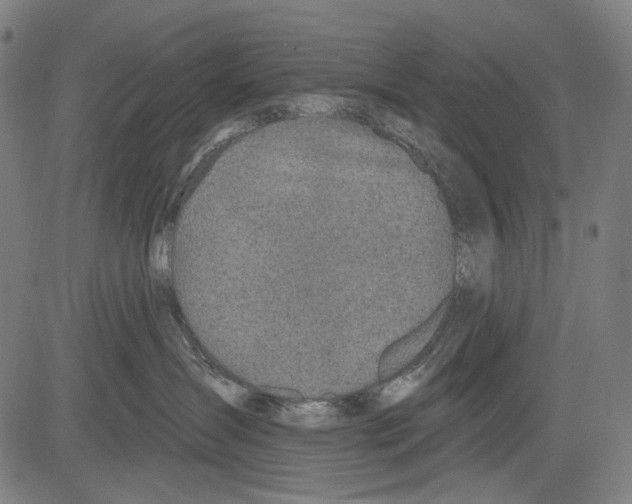 X0000081600431200702121554