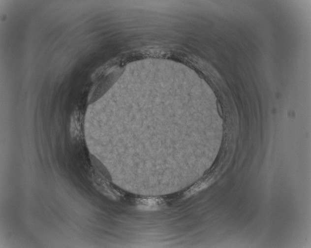 X0000081600432200702121554