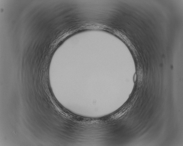 X0000081600433200702121553