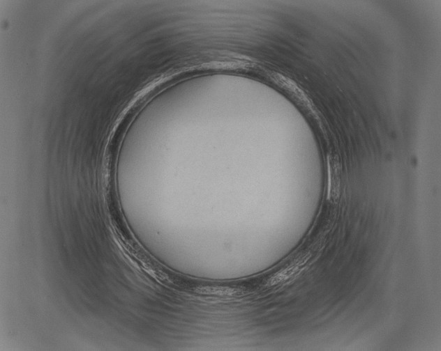 X0000081600435200702121553