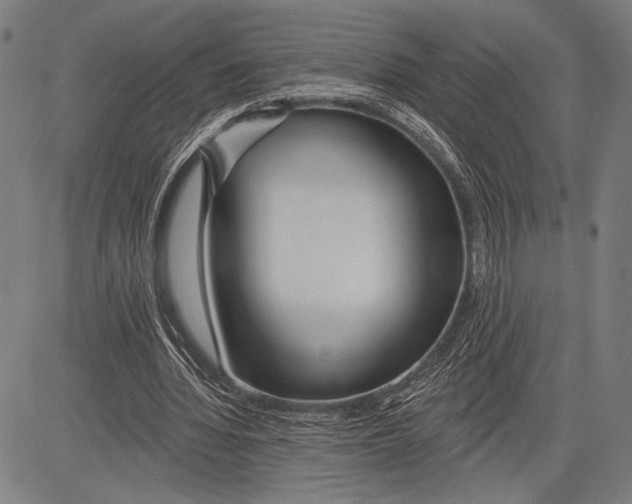 X0000081600436200702121553