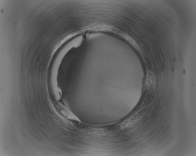 X0000081600438200702121553