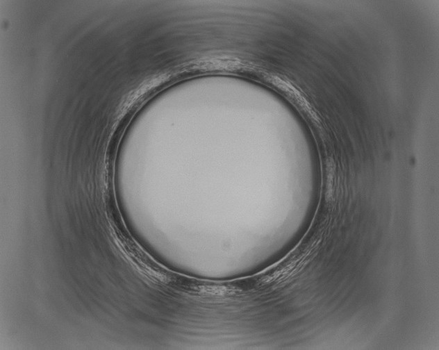 X0000081600439200702121553