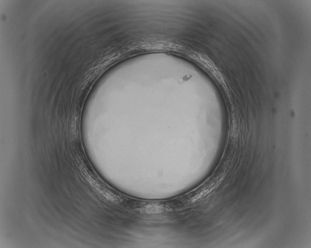 X0000081600441200702121553