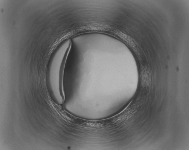 X0000081600442200702121553