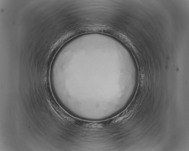 X0000081600443200702121553