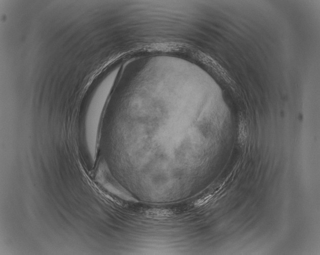 X0000081600444200702121553