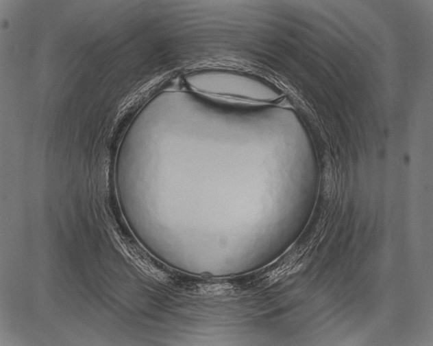 X0000081600446200702121553