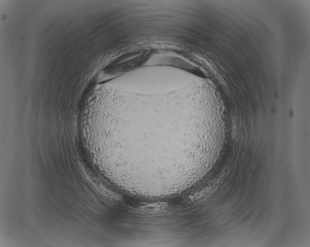 X0000081600447200702121553