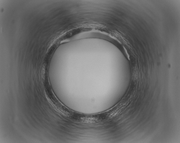 X0000081600448200702121553