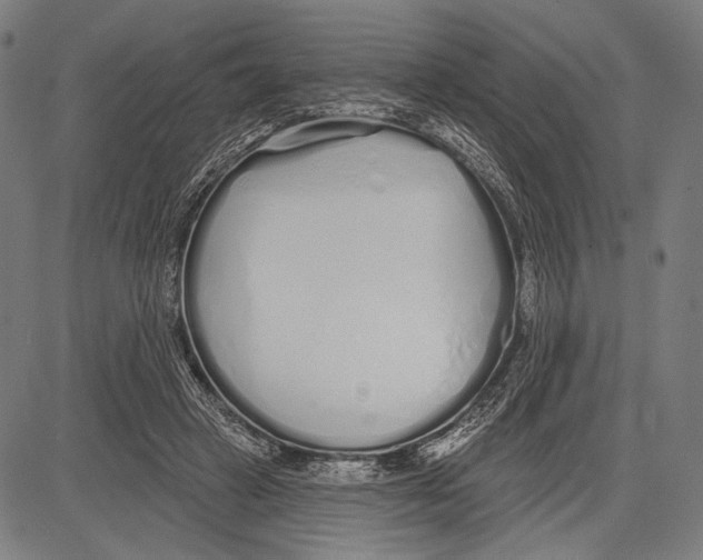 X0000081600449200702121553