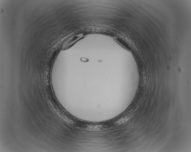 X0000081600450200702121553