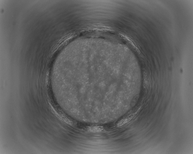 X0000081600451200702121553