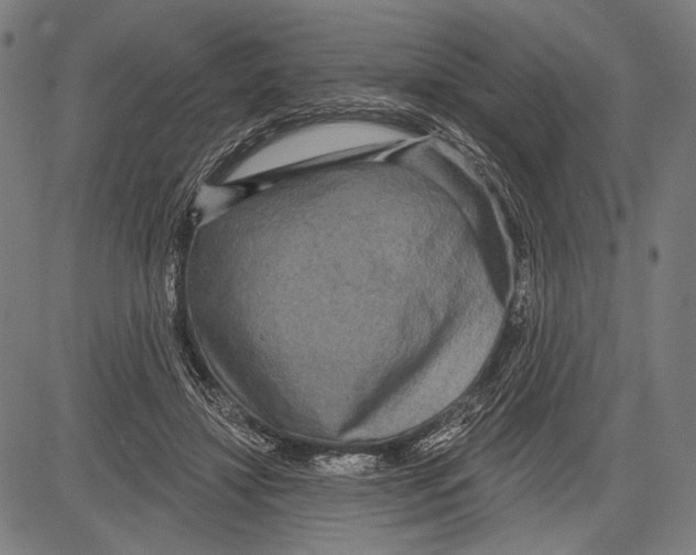 X0000081600452200702121553