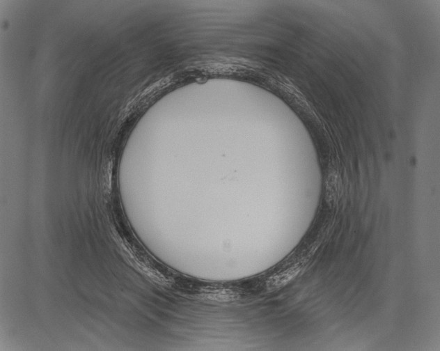 X0000081600454200702121553