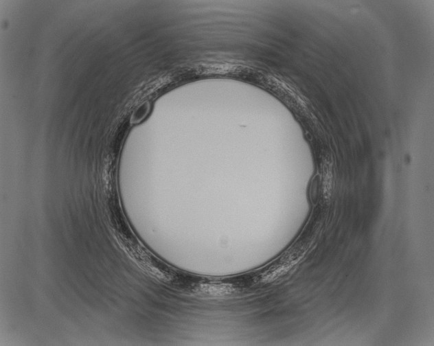 X0000081600455200702121553