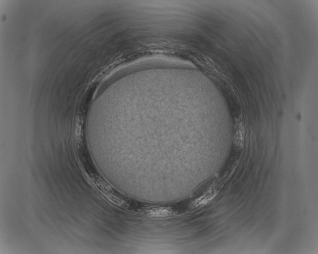 X0000081600456200702121553