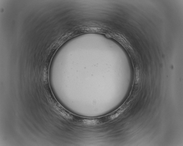 X0000081600457200702121553