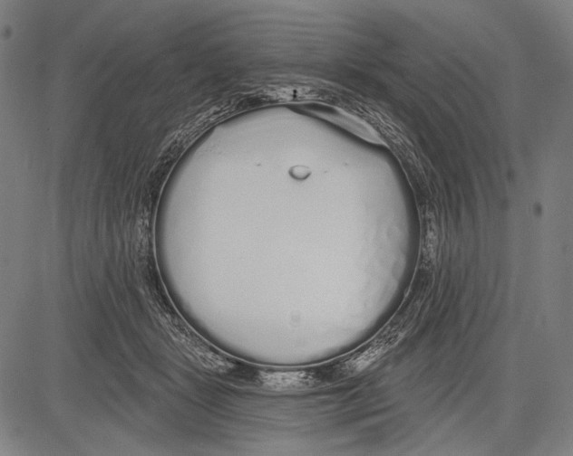 X0000081600461200702121553