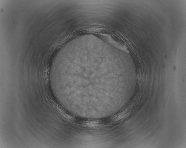 X0000081600462200702121554