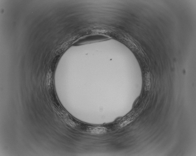 X0000081600463200702121554