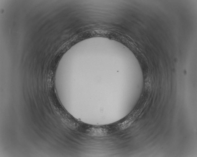 X0000081600464200702121554