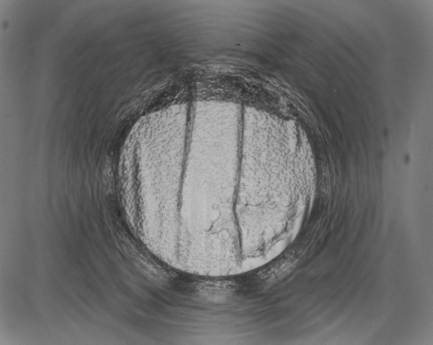 X0000081600465200702121554