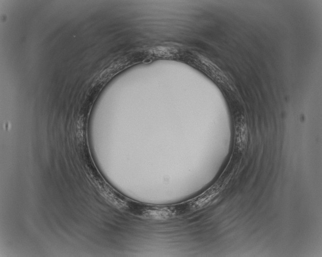 X0000081600466200702121554