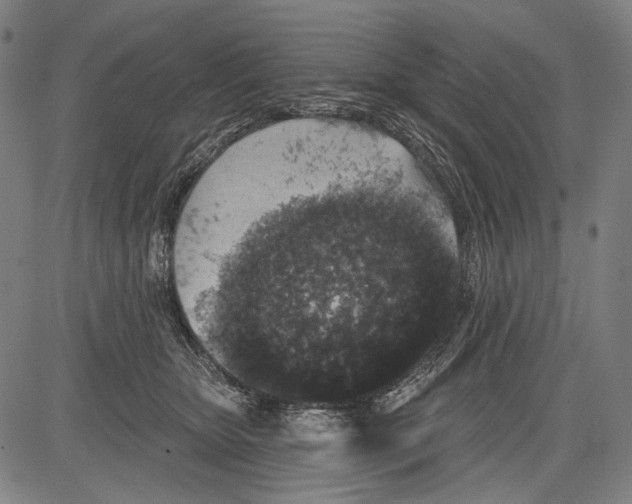 X0000081600467200702121554