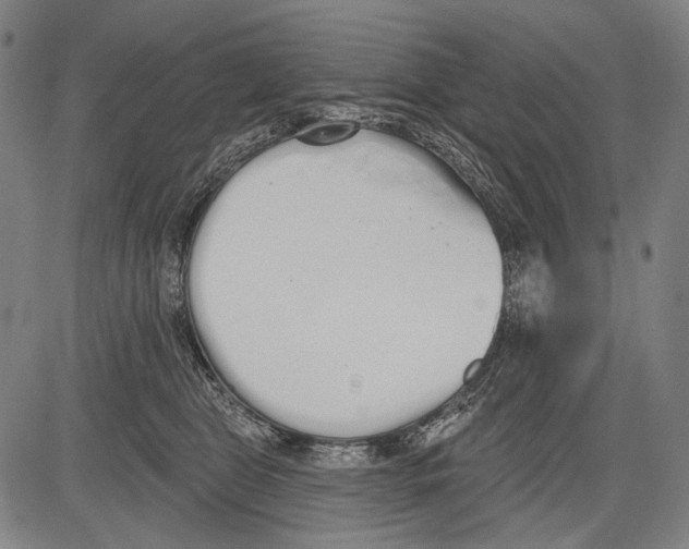 X0000081600469200702121554