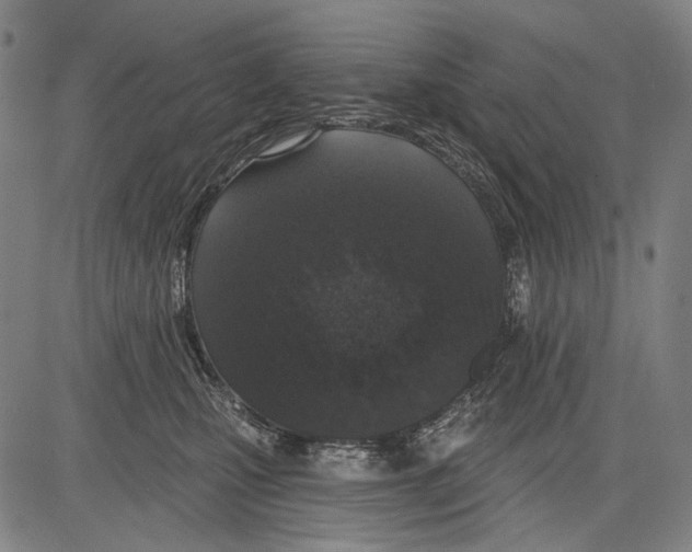 X0000081600471200702121554