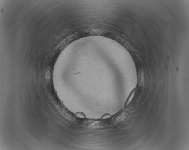 X0000081600472200702121554