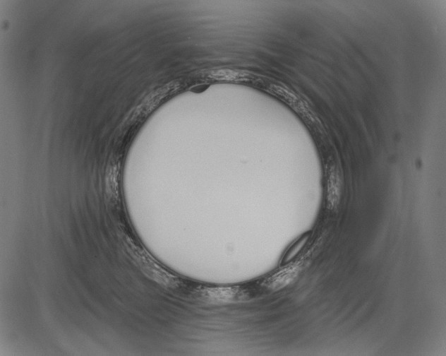 X0000081600473200702121554