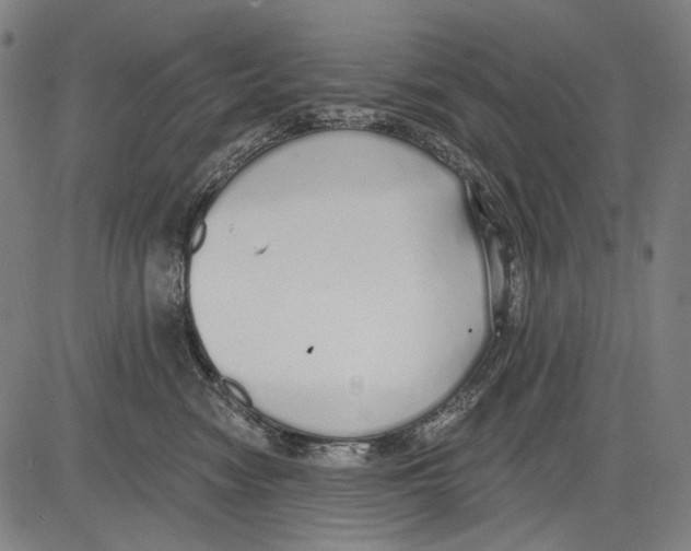 X0000081600474200702121554