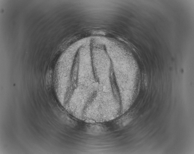 X0000081600475200702121554