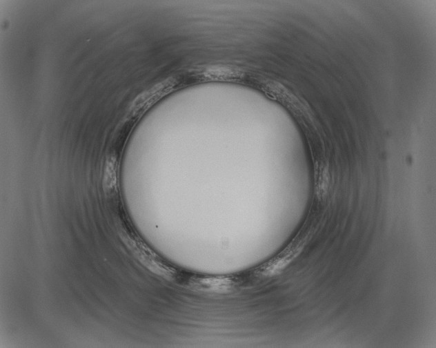 X0000081600478200702121554