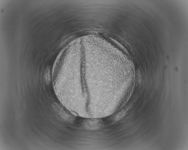 X0000081600479200702121554