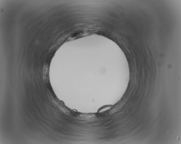 X0000081600480200702121554