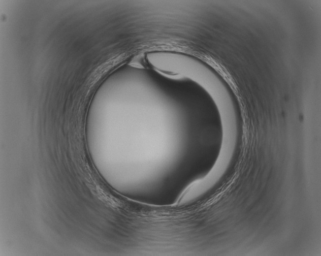 X0000081600481200702121553